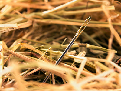 4 Things the Best Freight Forwarders Have in Common | Shipping Solutions 4 Things the Best Freight Forwarders Have in Common | Shipping Solutions