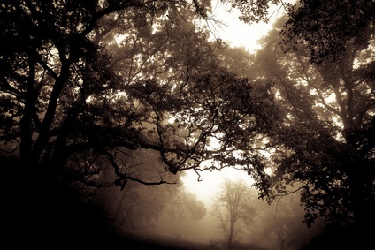 Export Codes, Classifications and Numbers, Oh My! | Shipping Solutions Export Codes, Classifications and Numbers, Oh My! | Shipping Solutions