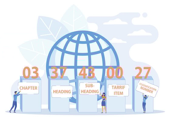 HTS Codes The Importers Ultimate Guide