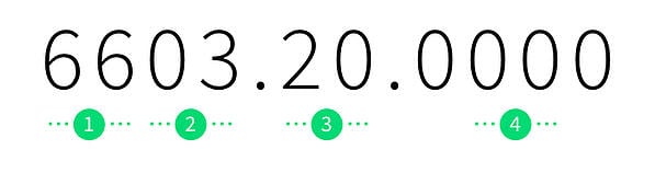 Schedule B Search Engine code | Shipping Solutions