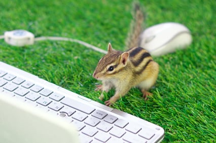 Classifying Your Goods for Import and Export Requires Expertise | Shipping Solutions Classifying Your Goods for Import and Export Requires Expertise | Shipping Solutions