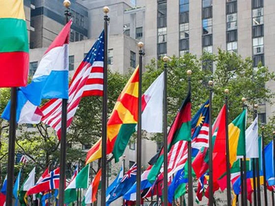 Understanding International Sales Contracts | Shipping Solutions